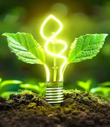 Eco-friendly lifestyle tips and sustainable living guides for a greener future.